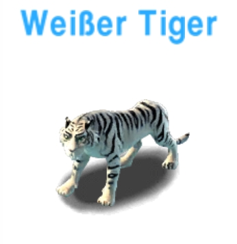 Weisser Tiger     